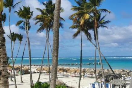 Tours from Bungalows Los Manglares Beach & Spa