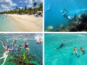 Catalina Island Snorkeling Tour