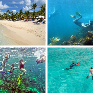 Tour de Snorkeling na Ilha de Catalina