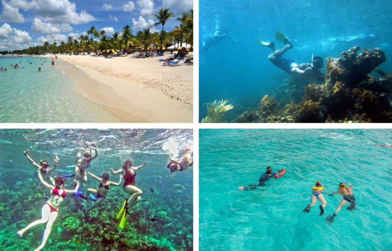 Tour de Snorkeling na Ilha de Catalina