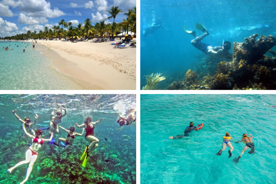 Catalina Island Snorkeling tour From Punta Cana (w/ Lunch) in Punta Cana, Dominican Republic