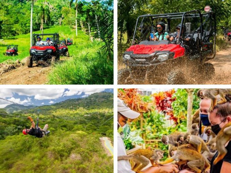 Schedule Punta Cana excursions & tours before you arrive