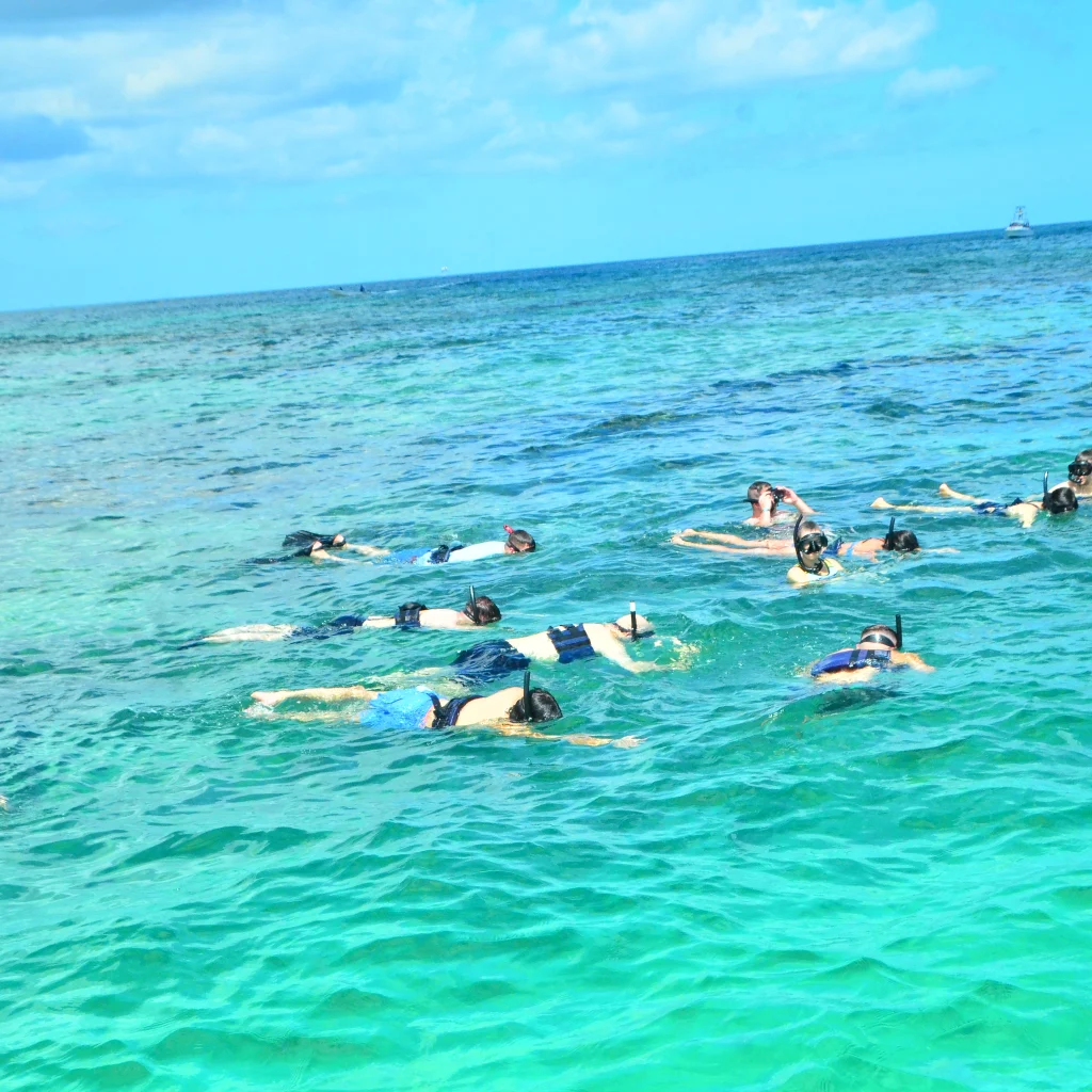 Private Party Boat Snorkeling