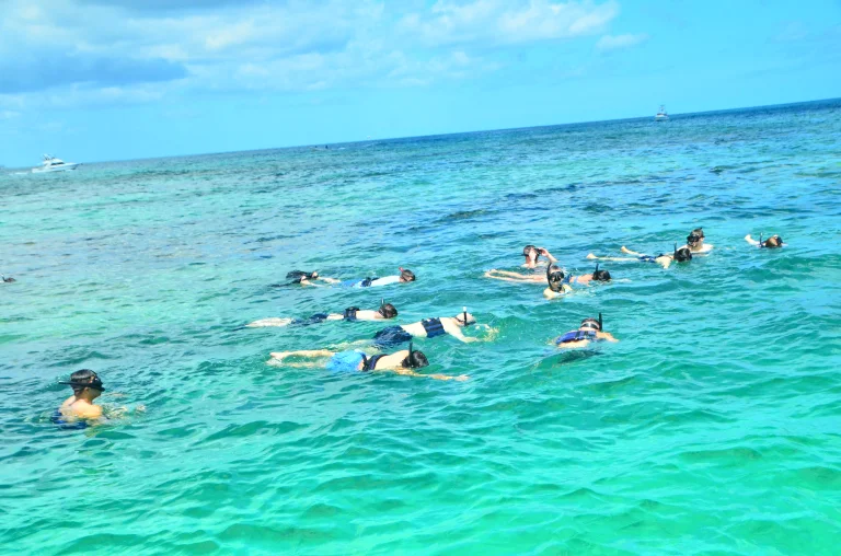 Private Party Boat Snorkeling