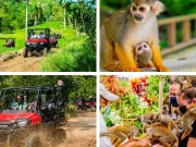 Monkeyland + Jungle Buggie
