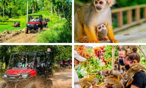 Monkeyland + Jungle Buggie