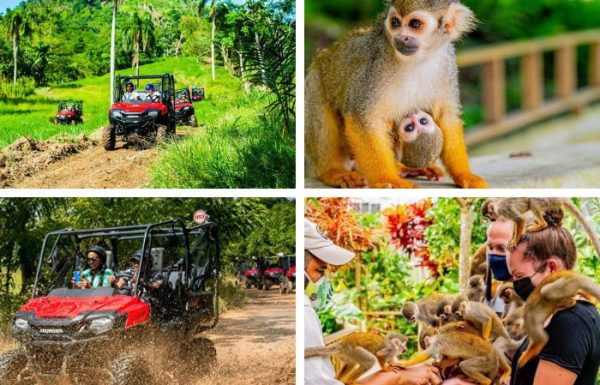 Monkeyland + Jungle Buggie Affenland + Dschungel-Buggie