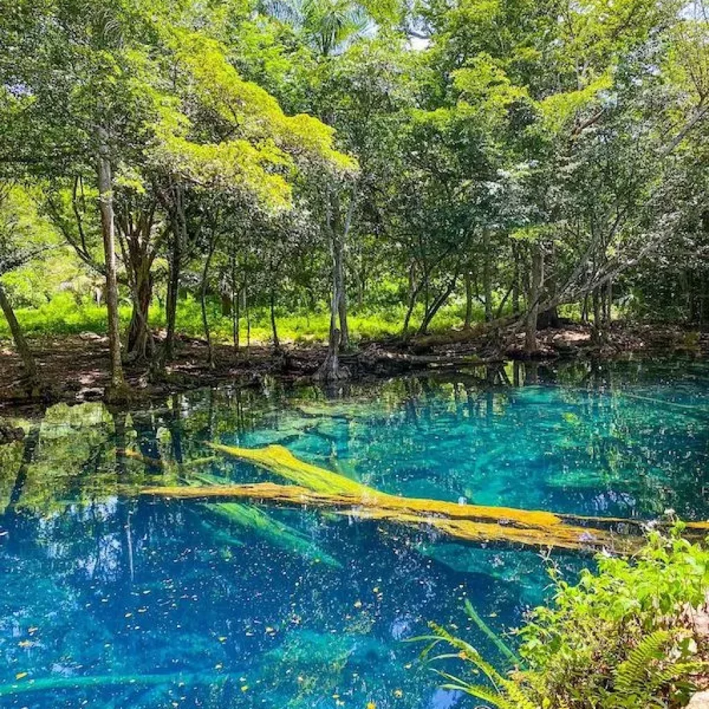 Hoyo Claro à Punta Cana