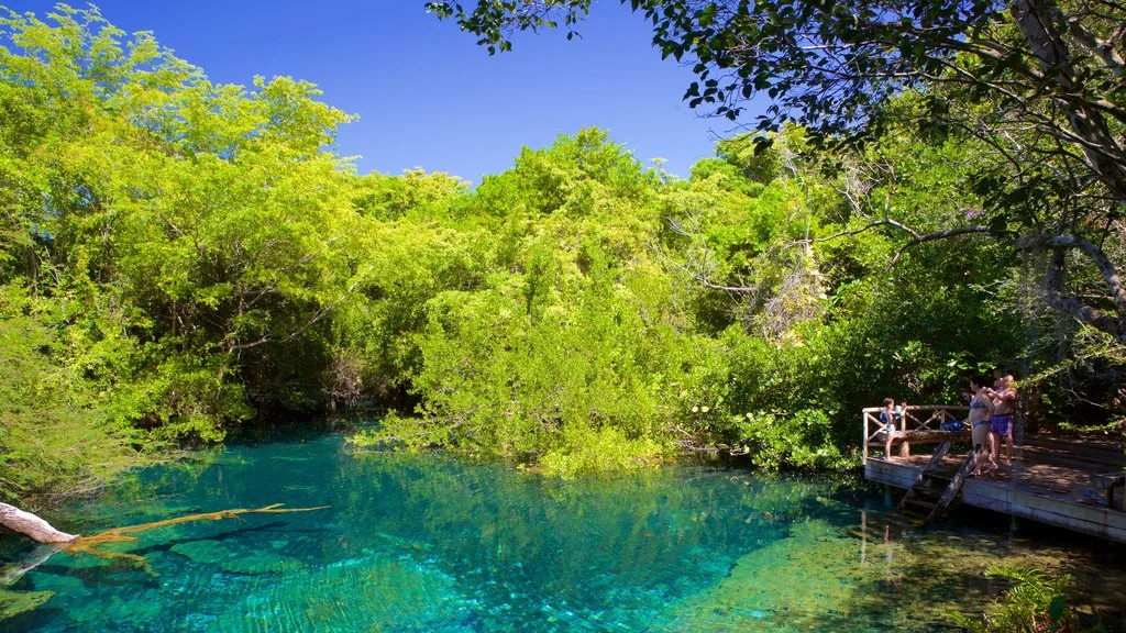 Ökologisches Reservat "Indigenous Eye" in Punta Cana