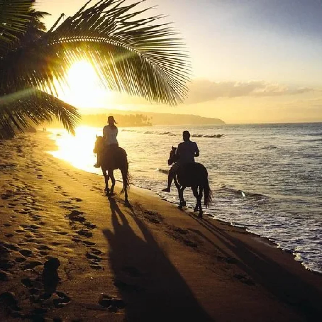 Randonnée équestre au coucher du soleil à Punta Cana