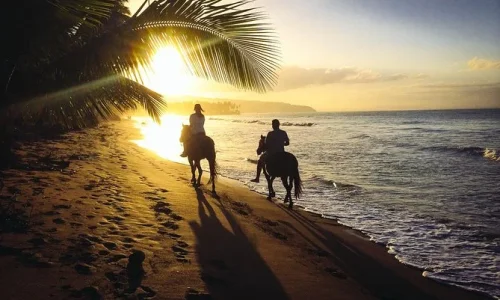 Sunset Horseback Riding in Punta Cana