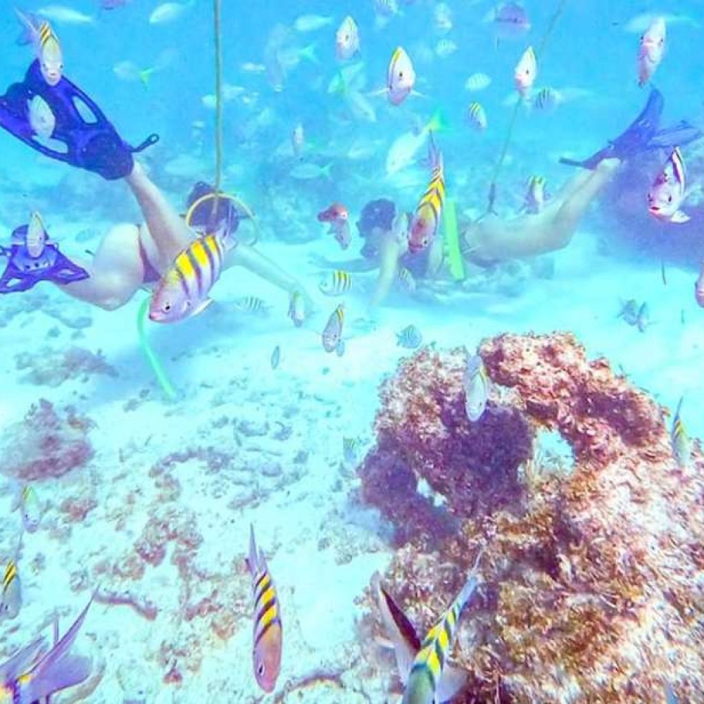 Power Dive Punta Cana