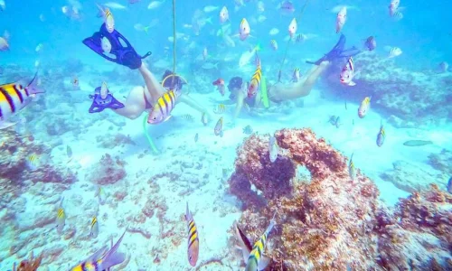 Power Dive Punta Cana