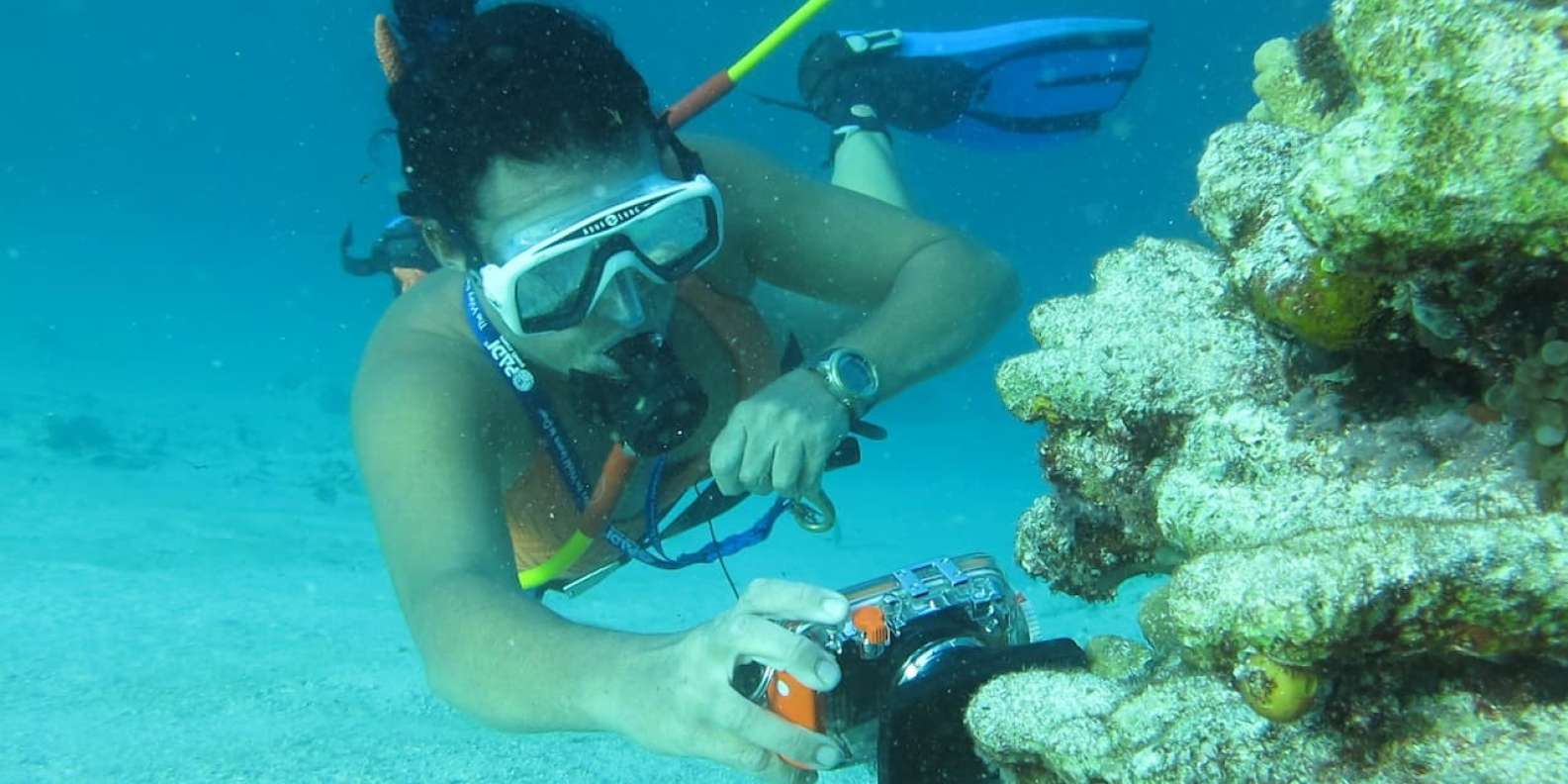 Découvrez la plongée sous-marine – Turquesa Diving