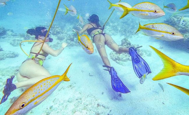 Punta Cana excursions & Tours