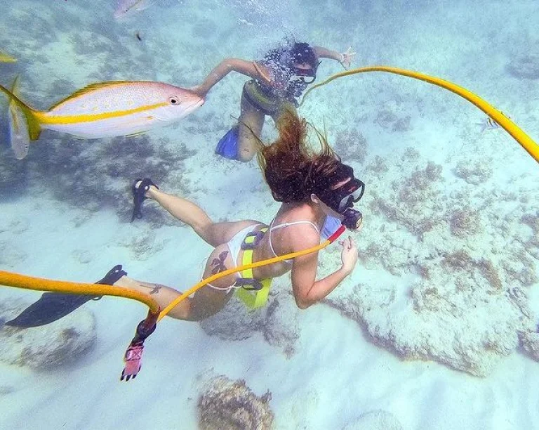 Power Dive Punta Cana