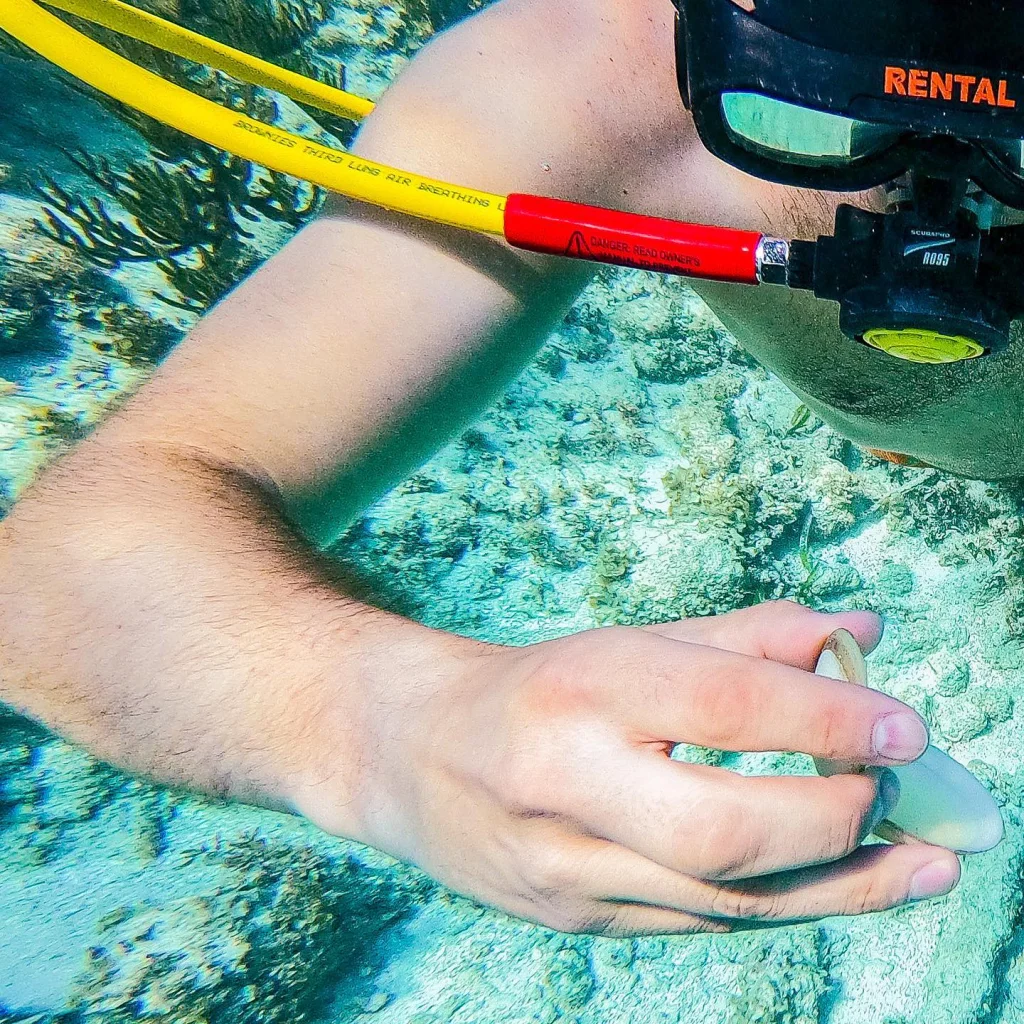 Power Dive Punta Cana