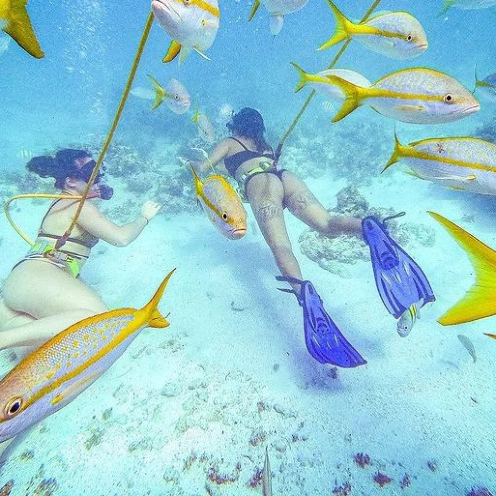 Power Dive Punta Cana