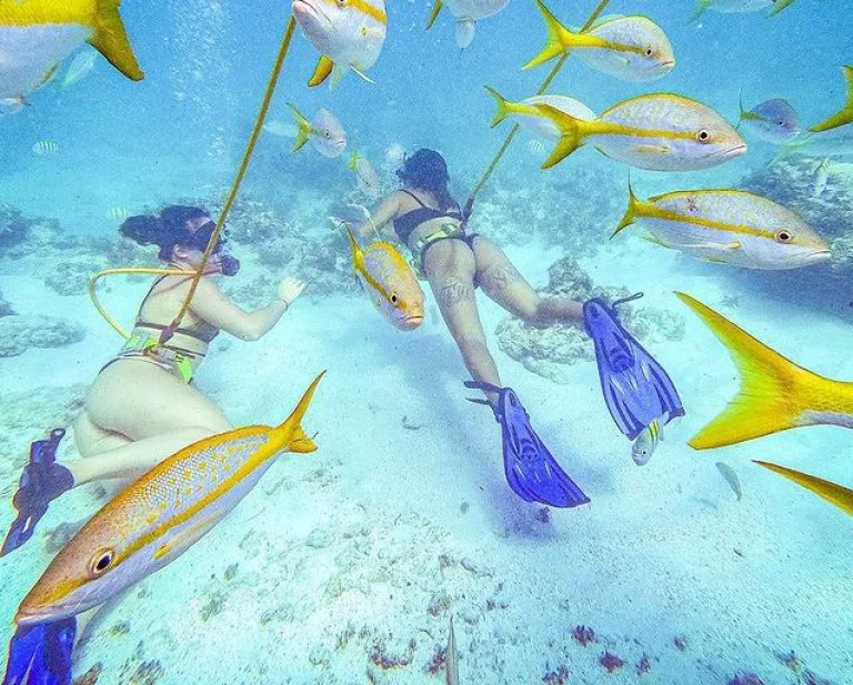Power Dive Punta Cana