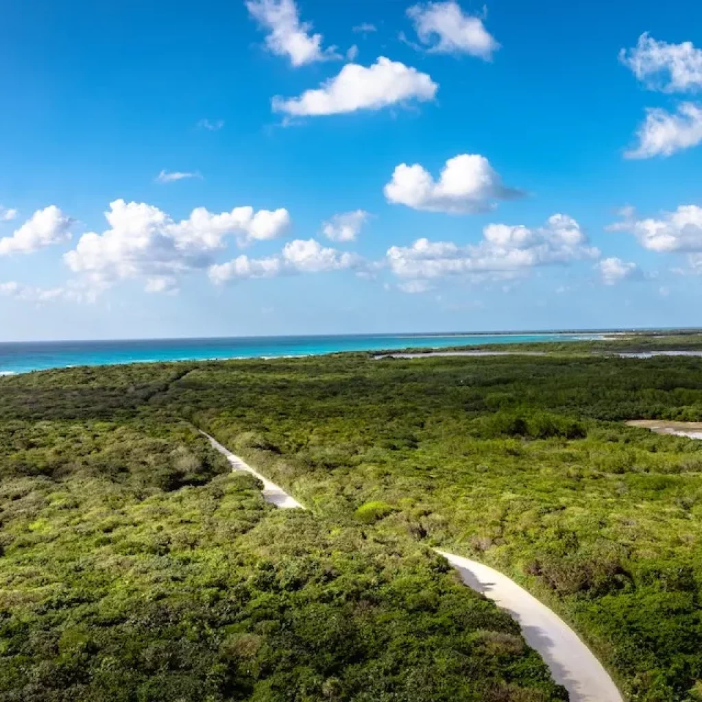 July Weather in Punta Cana