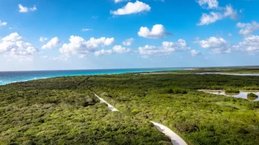 July Weather in Punta Cana