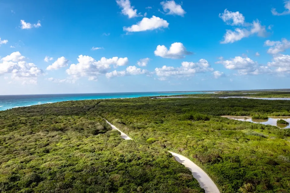 Temps en juillet à Punta Cana