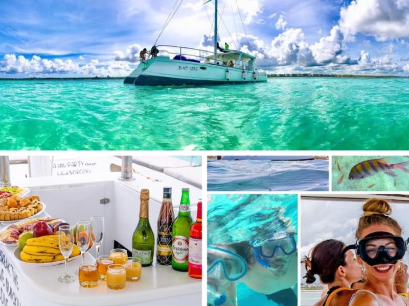 monkey safari dominican republic Schedule Punta Cana excursions & tours before you arrive