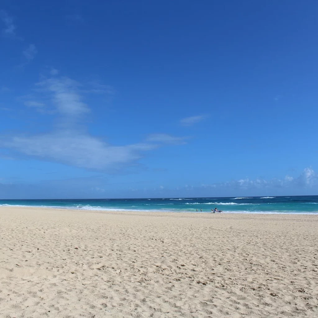 Plage de Macao à Punta Cana, sans Sargassum !