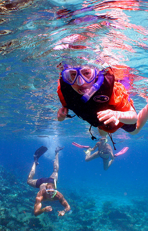 Excursión de snorkel a la Isla Catalina desde Punta Cana
