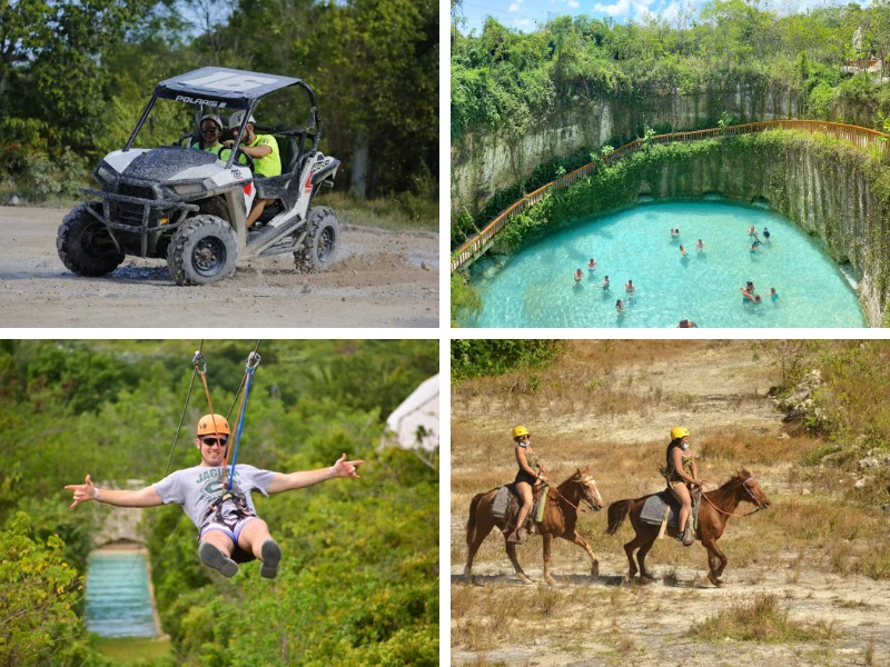 monkey safari dominican republic Schedule Punta Cana excursions & tours before you arrive