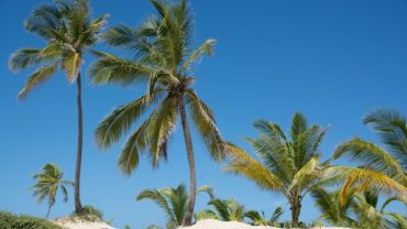 Punta Cana in November