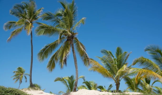 Punta Cana in November