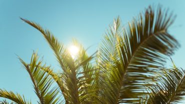Time in Punta Cana