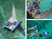 Catamaran & Dolphin Encounter Adventure