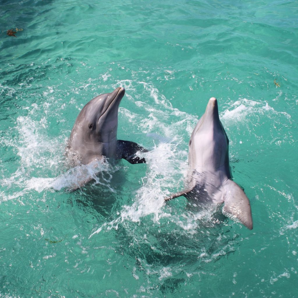 puntacanaadventures