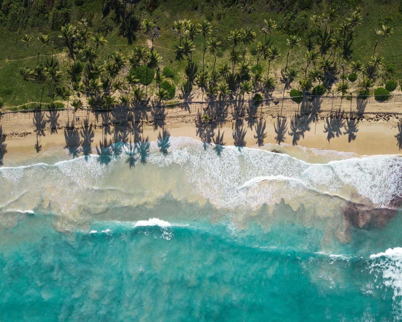 Macao Beach from Above