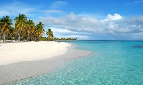 Saona Island Canto De La Playa