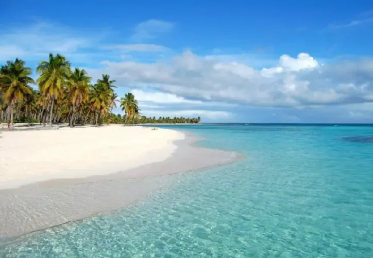 Saona Island Canto De La Playa