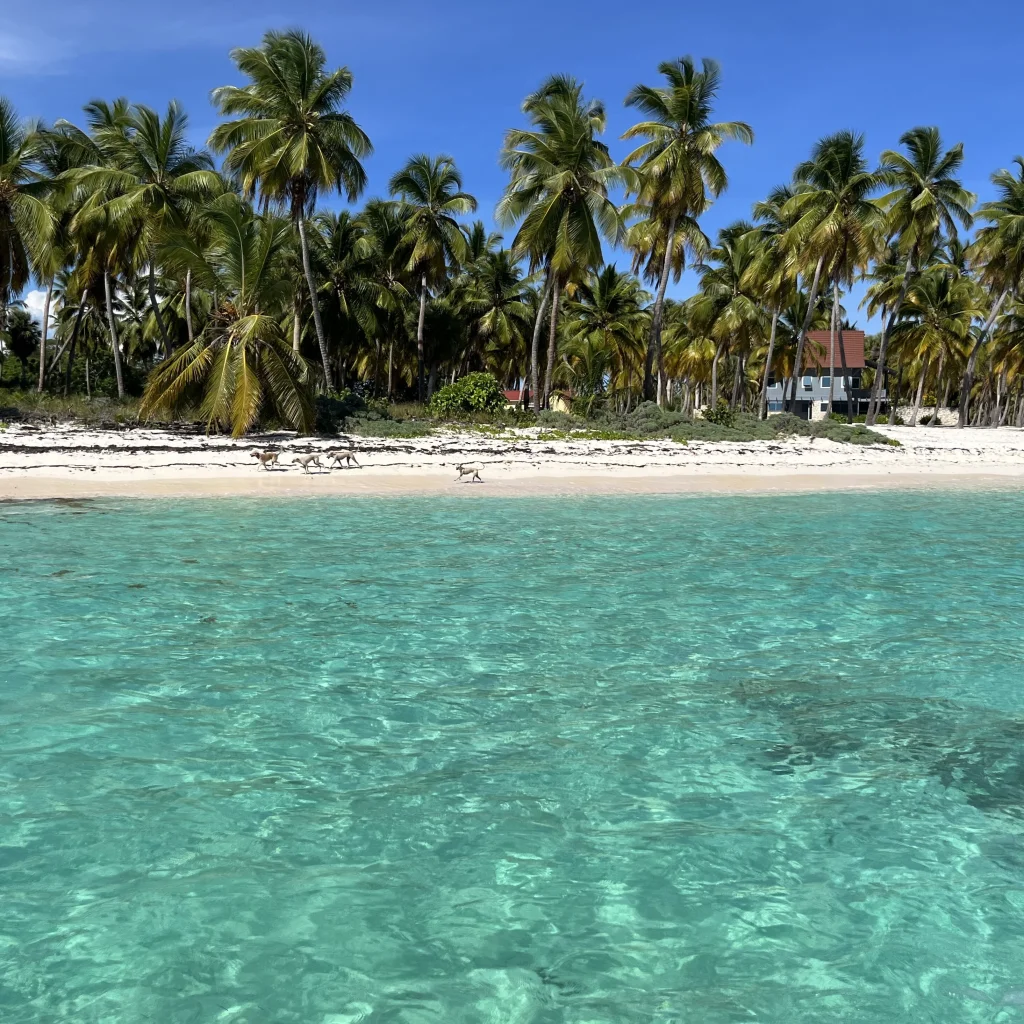 Mano Juan Beach Saona Island