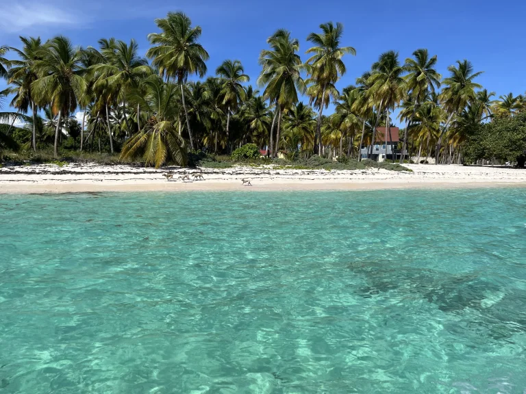 Mano Juan Beach Saona Island